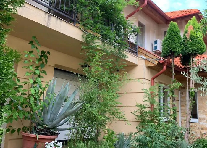 Apartment Andi *